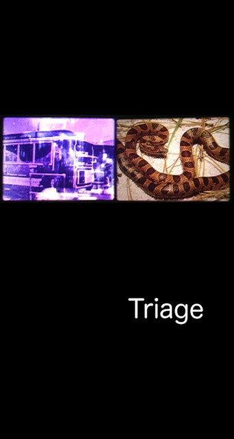 Triage (2004) poster