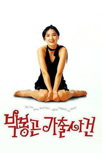 The Adventures of Mrs. Park (1996) poster