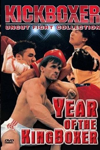 Year of the Kingboxer (1990) poster