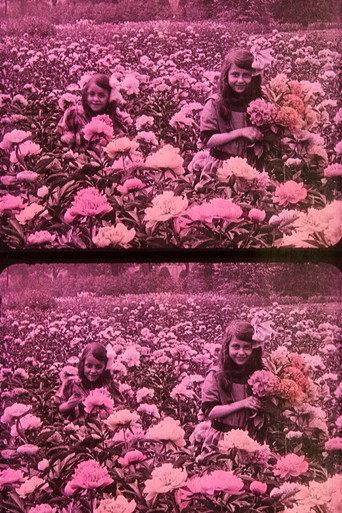 Flowery Spring (1912) poster