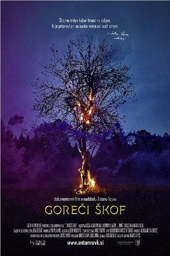 The Burning Bishop (2017) poster