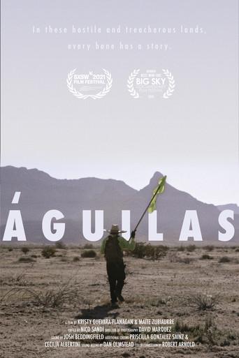 Eagles (2021) poster