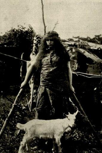 The Wife of Cain (1913) poster