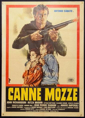 Sawed-Off Shotgun (1977) poster