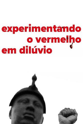 Experiencing the Flooding Red (2016) poster