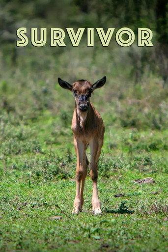 Survivor (2022) poster