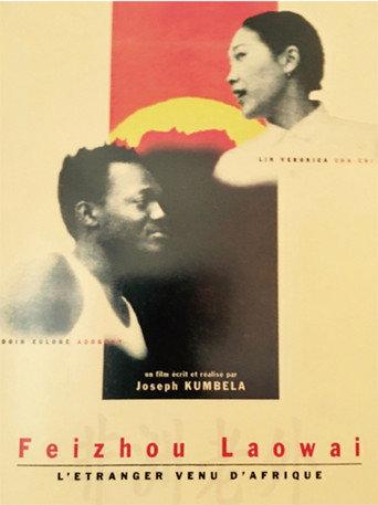 L'étranger venu d'Afrique () poster