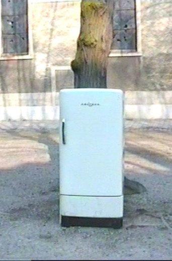 Stoning the Refrigerator (1996) poster