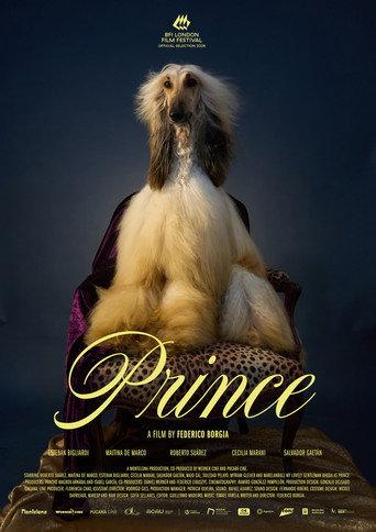 Prince (2026) poster