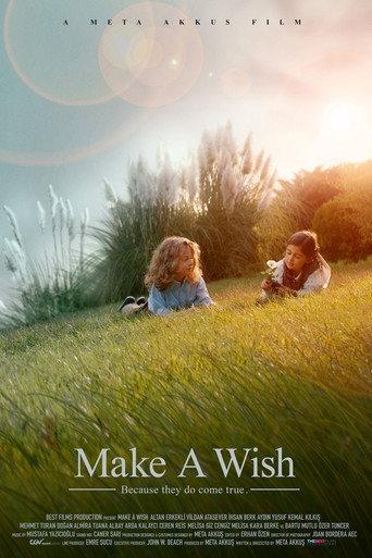 Make a Wish (2022) poster