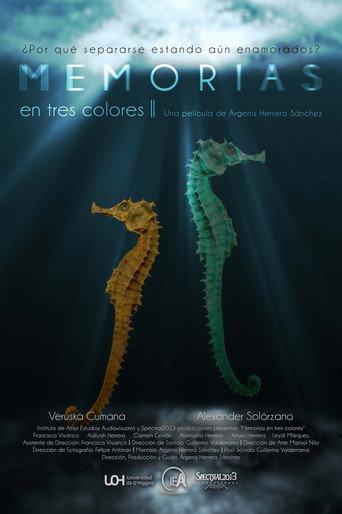 Memorias En Tres Colores (2021) poster