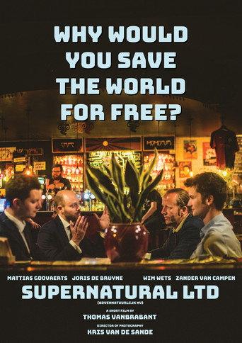 Supernatural Ltd () poster
