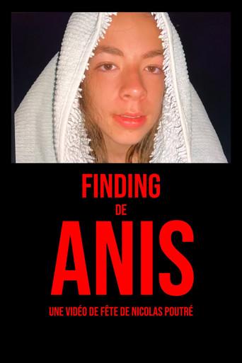 Anis's Finding () poster