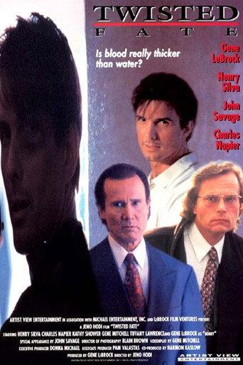 Twisted Fate (1995) poster