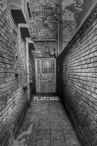 Flamingo () poster