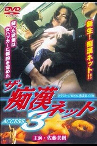 The Molester Net ACCESS 3 (2000) poster