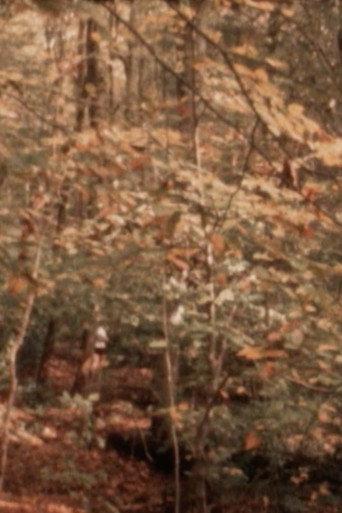 The Air, the Creek, the Leaves (2022) poster