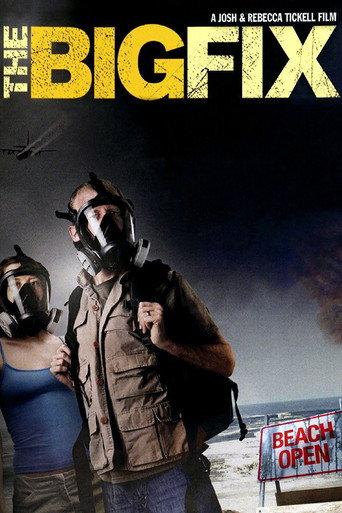 The Big Fix (2011) poster