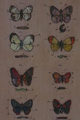 Lekcja anatomii (1968) poster