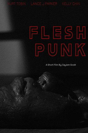 Fleshpunk () poster