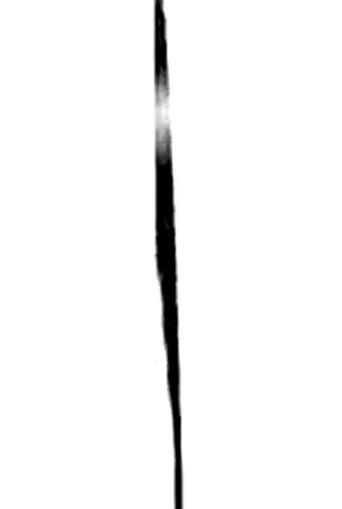 Wish (2002) poster
