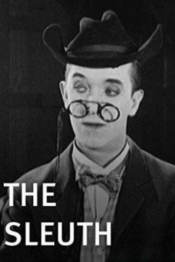 The Sleuth (1925) poster