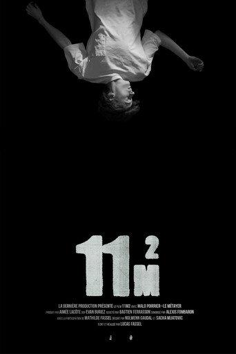 11m2 (2024) poster
