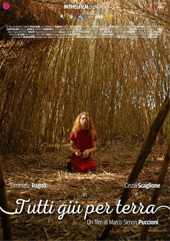 Tutti giù per terra (2025) poster