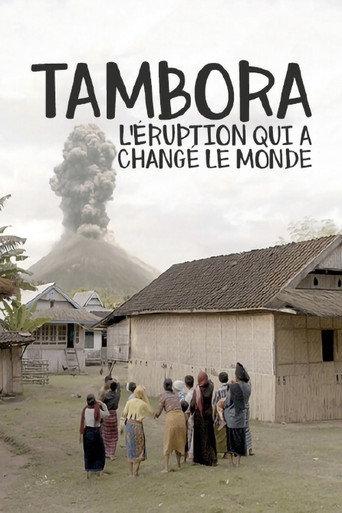 The Volcano That Changed The World (2017) poster