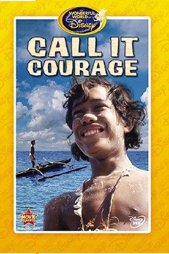 Call It Courage (1973) poster