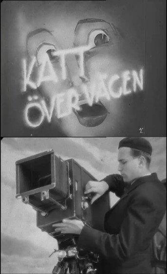 Cat Across the Road (1937) poster
