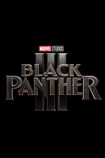 Black Panther 3 (2028) poster