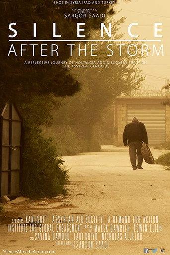 Silence After the Storm (2016) poster