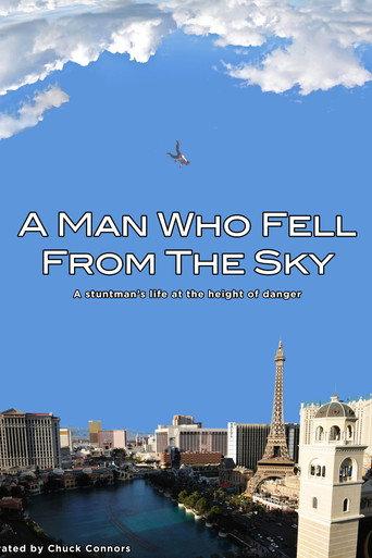 A Man Who Fell From The Sky (1999) poster