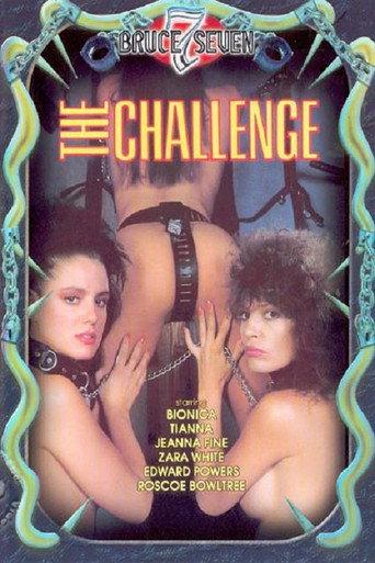 The Challenge (1990) poster