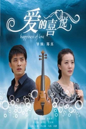 爱的喜悦 (2010) poster