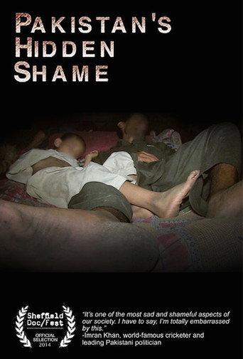 Pakistan's Hidden Shame (2014) poster