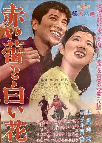 Red Bud and White Flower (1962) poster