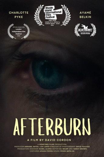 Afterburn () poster