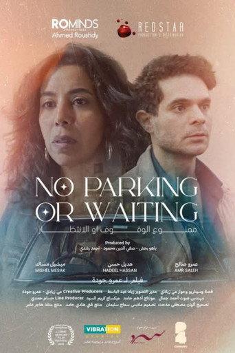 No Parking or Waiting () poster