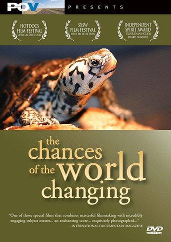 The Chances of the World Changing (2006) poster