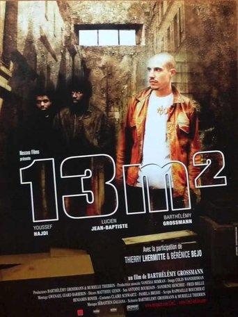 13 m² (2007) poster