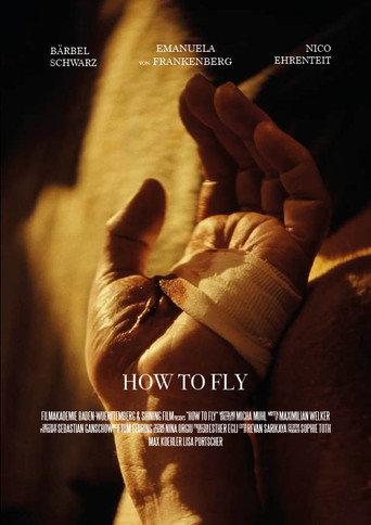 How to Fly () poster