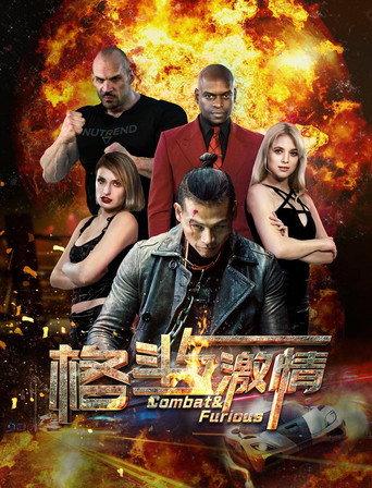 格斗与激情 (2019) poster