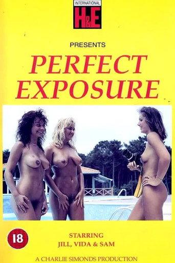 Perfect Exposure (1990) poster