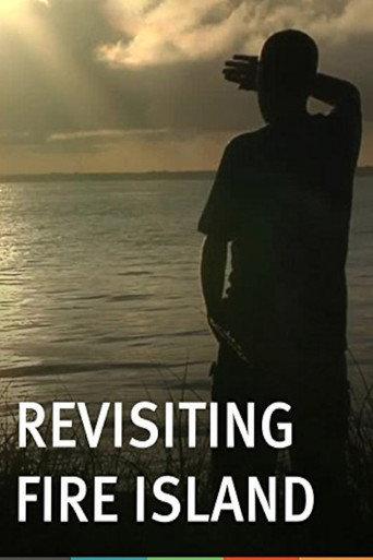 Revisiting Fire Island (2013) poster