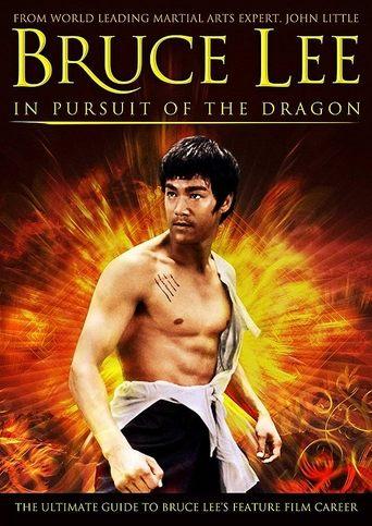 Bruce Lee: In Pursuit of the Dragon (2011) poster