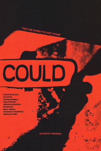 Could () poster