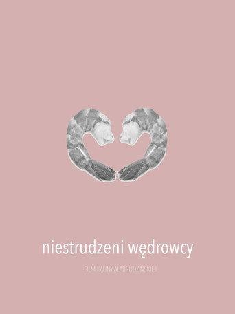 Niestrudzeni wędrowcy (2016) poster