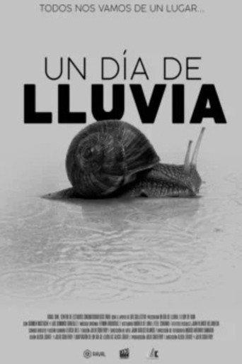 Un día de lluvia () poster